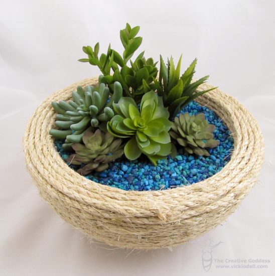 Succulent Dish Garden 