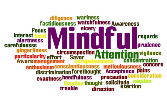 Mindful Aware Attention Savor Awareness Acceptance Focus Attention Emotion Mindful Mindful alertnesss carefulnesss caution circumspection  concentration concern conscientiousness consideration diligence direction discrimination effort enthusiasm exactness exertion fastidiousness forethought heed heedfulness interest management meticulousness nicety pains particularity precaution prudence regards scrupulousness solicitude thought trouble vigilance wariness watchfulness gingerliness  apathy carelessness disinterest disregard disrespect heedlessnes sidleness ignorance imprudence inactivity indifference indiscretion laziness lethargy neglect negligence thoughtlessness