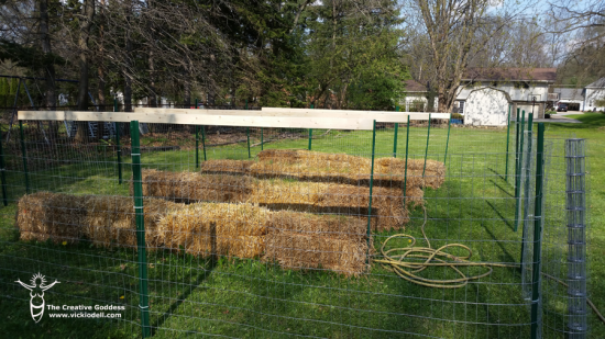 Straw-Bale-Gardens