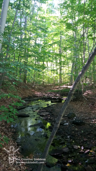 Fall Hiking Spree