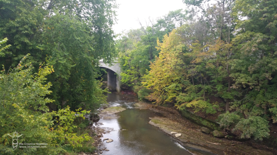 Fall in North East Ohio