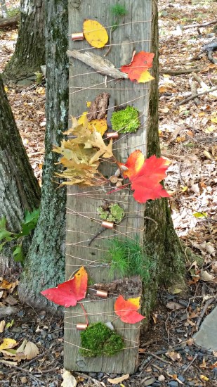 Found Object Art - Nature Weaving