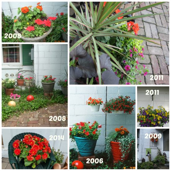 8 Tips for Creating Long Lasting Container Plants