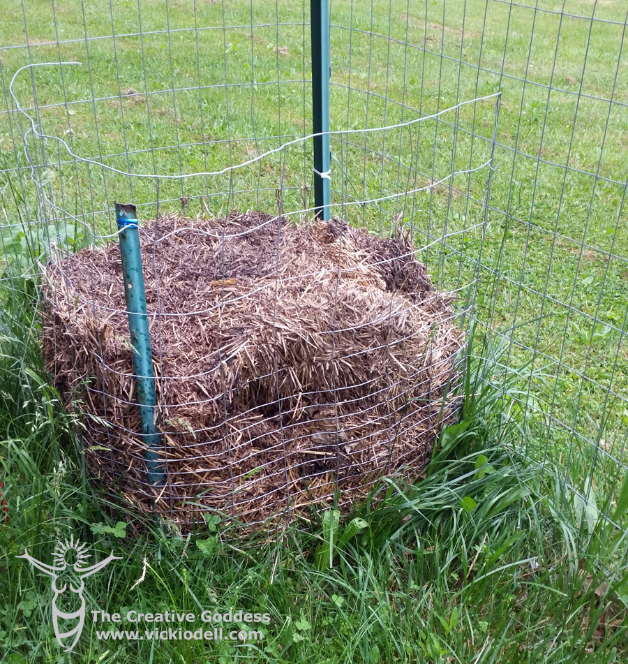 Growing Potatoes In Straw • Vicki O�Dell