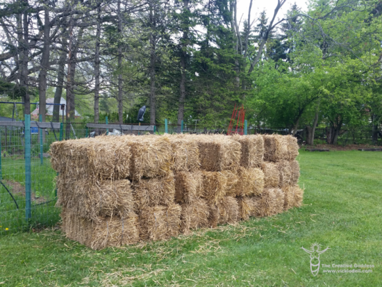 20 bales of straw waiting for the new straw bale garden