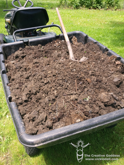 Garden Experiments - Strawberries