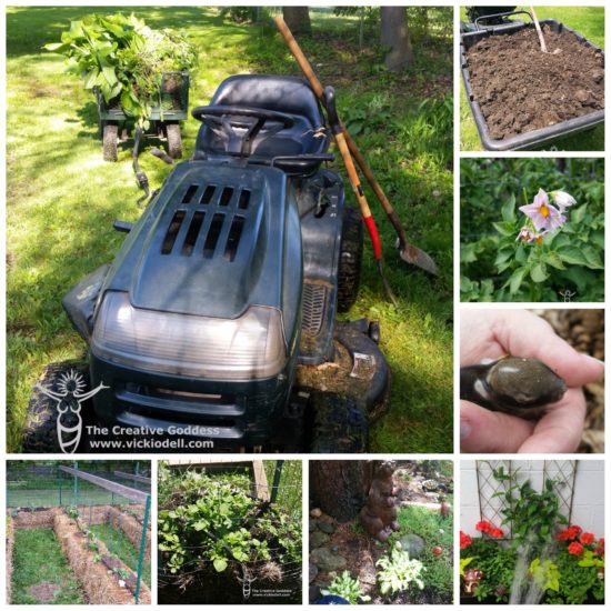 garden tractor, the creative goddess, living seasonally, The Gardening Life 