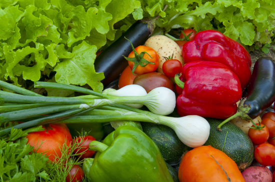 Vegetables from the Garden 