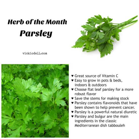 Herb of the Month - Parsley 