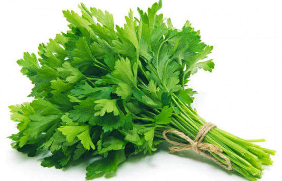 Herb of the Month - Parsley 