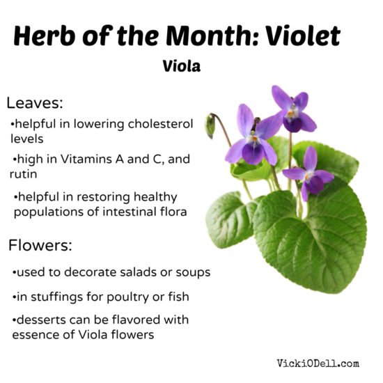 Herb of the Month - Violet