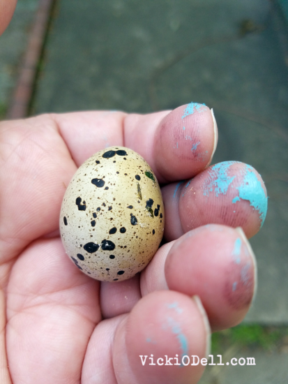 quail egg and paint covered hands