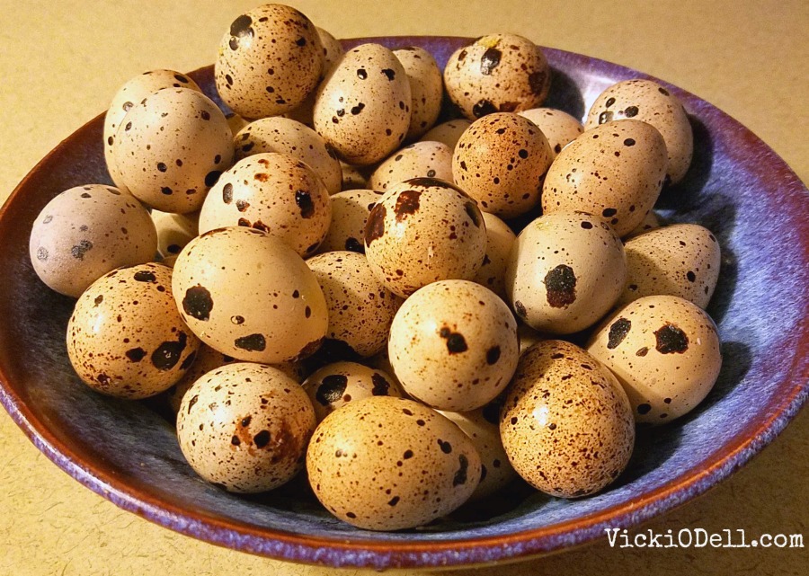 bowl of quail eggs - Living an authentic live