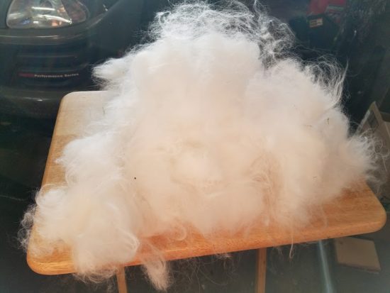 Lily - French Angora Fiber