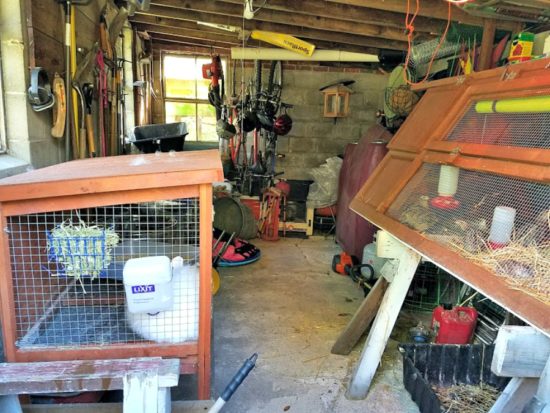 Rabbit and Quail Winter Quarters