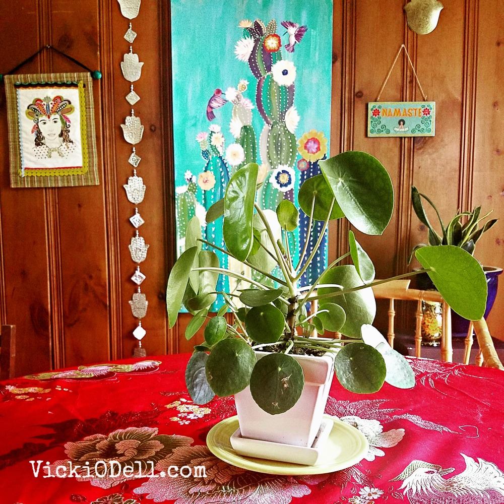 Healthy Houseplants, Chinese Money Plant, Bohemian, Dining Room