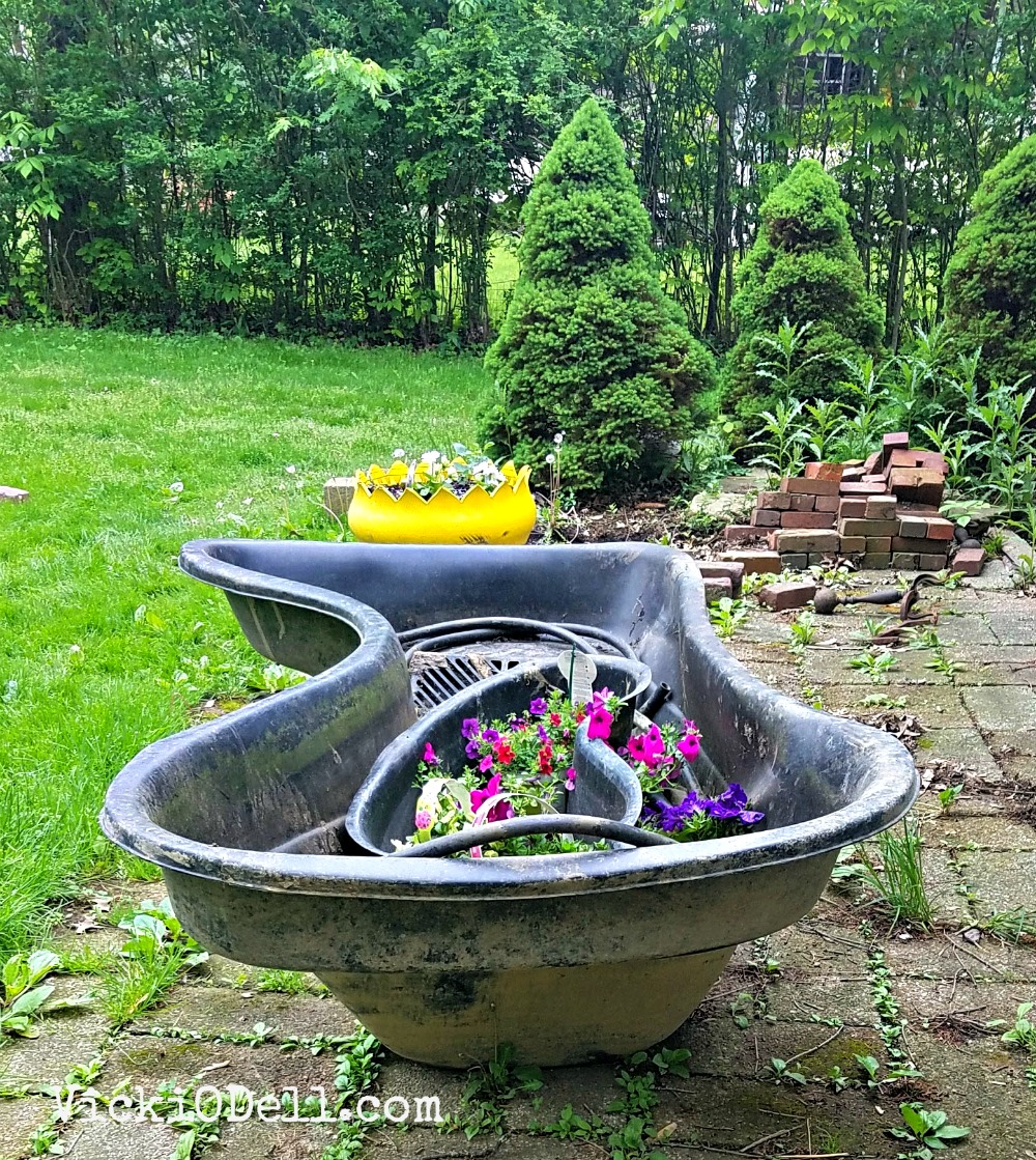 Gardening, pond, water feature, flowers, patio,