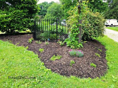 Flower Bed with Bio Flora - from front