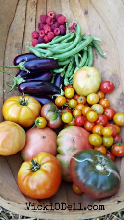 garden harvest 2018 - tomatoes, green beans, cherry tomatoes, eggplant