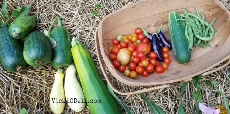 garden harvest 2018 - yellow squash, zucchini, cherry tomatoes, eggplant