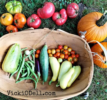 garden harvest 2018 - sweet peppers, cucumbers, cherry tomatoes, pumpkins, green beans, quail egg, eggplant