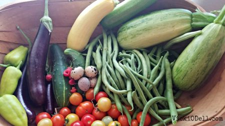 garden harvest 2018 - quail eggs, cucumber, yellow squash, zucchini, cherry tomatoes and green beans