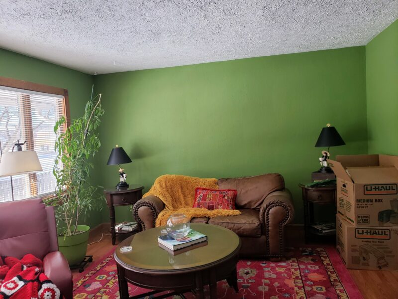 living room, color, green wall, moving day, home decor